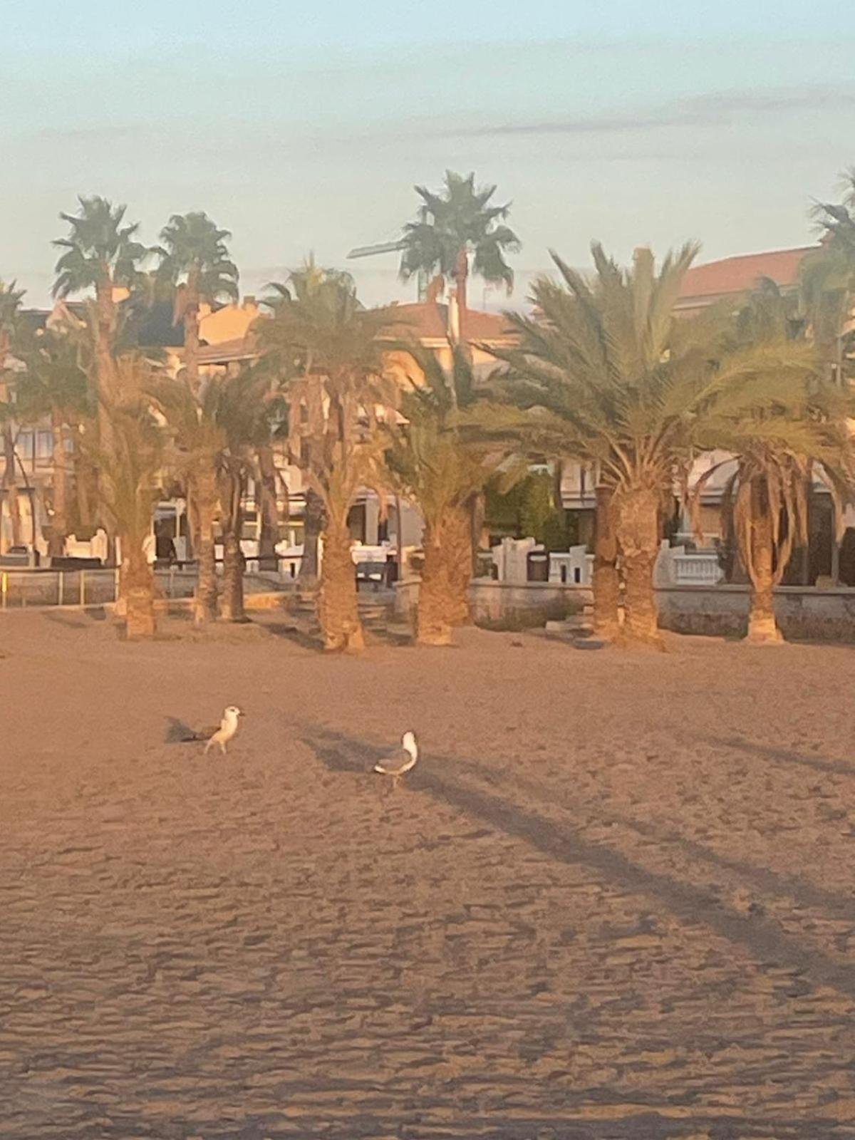 דירות סנטה פולה Vacaciones En Playa Del Tamarit מראה חיצוני תמונה
